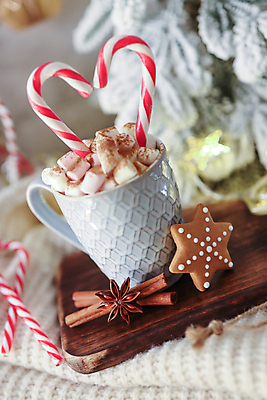 포토 JPG 해외이미지 크리스마스 크리스마스용품 실내 사람없음 아웃포커스 쿠키 하트 코코아 나무도마 지팡이사탕 팔각회향 해외포토 모양 기념일 음료 디저트 도마 촬영기법 사탕 내부 목재 향신료 용품 파일형식 이미지허브