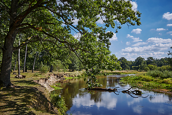 포토 JPG 해외이미지 나무 구름 호수 여행 백그라운드 자연 벽지 하늘 아침 휴가 휴식 풍경 사람없음 야외 목재 가로 초록색 물 여름 파란색 강 컬러풀 햇빛 뷰티 반사 침묵 고요 봄 흐름 안개 흰색 시골 개울 숲 장면 넘어짐 벨로루시 해외포토 주간 자연요소 식물 계절 컬러 컨셉 재료 모션 날씨 태양 소리 생태계 파일형식 이미지허브