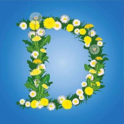 EPS 해외이미지 디자인 알파벳 꽃잎 꽃 분홍색 백그라운드 패턴 일러스트 자연 추상 미술 초록색 여름 파란색 노란색 흰색 그룹 민들레 편지 심볼 사인 그림 데이지 고립 해외일러스트 식물 영어 계절 컬러 무늬 문화예술 생태계 파일형식 벡터이미지허브 