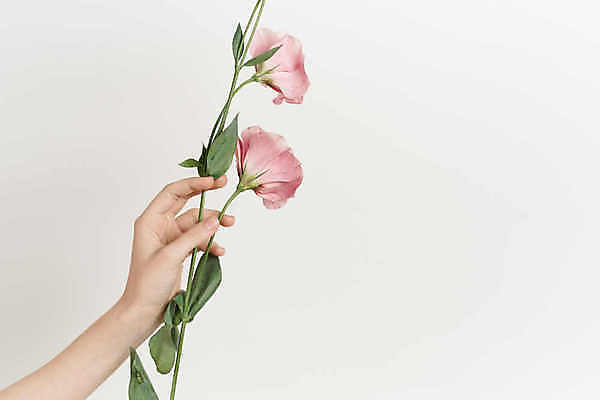 포토 JPG 해외이미지 꽃 분홍색 꽃다발 실내 들기 신체부위 해외포토 식물 컬러 모션 사람 내부 파일형식 이미지허브