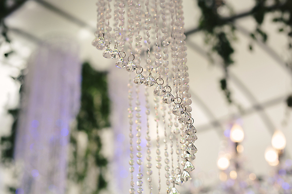 포토 JPG 해외이미지 전통 디자인 꽃 꽃다발 결혼 백그라운드 꽃무늬 목걸이 자연 하늘 결혼식 휴가 불꽃 사랑 이벤트 사람없음 야외 장식 초록색 여름 빛 뷰티 장미 파티 정원 낭만 흰색 축하 신선 고급 우아함 크리스탈 배열 묘사 아치 부드러움 설정 엘리먼트 팬던트 스타일 해외포토 식물 계절 감정 컬러 컨셉 무늬 장신구 불 감각 광석 생태계 파일형식 이미지허브