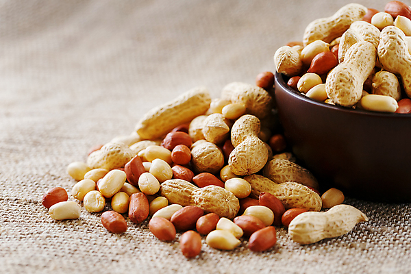 포토 JPG 해외이미지 실내 사람없음 아웃포커스 삼베 담기 땅콩 갈색배경 해외포토 백그라운드 모션 촬영기법 내부 갈색 견과류 파일형식 천_직물 이미지허브