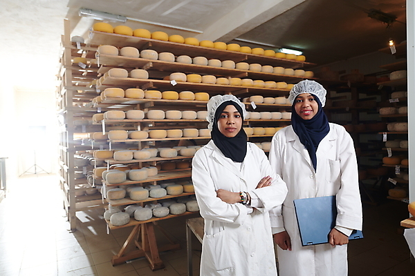 포토 JPG 해외이미지 여자 공장 노동자 치즈 선반 들기 상반신 성인 두명 노트북 팔짱 제조 저장 발효 수납 숙성 위생가운 위생모자 저장소 성인여자만 해외포토 직업 모자_잡화 가구 공업 모션 유제품 사람 전자제품 가운 여자만 성인만 파일형식 이미지허브