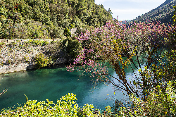 포토 JPG 해외이미지 식물 스포츠 파도 백그라운드 자연 사람 사람없음 가로 초록색 물 파란색 강 컬러풀 뷰티 반사 검은색 수중 이탈리아 시골 수면 익스트림스포츠 경계 폐허 다이빙 해군 마법 천국 탐사 방앗간 로마인 해외포토 자연요소 유럽 바다 컬러 군대 인종 수영 생태계 수중스포츠 파일형식 이미지허브