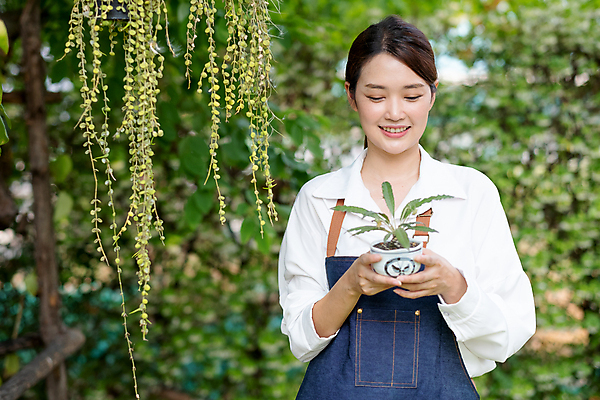 포토 JPG 해외이미지 식물 라이프스타일 응시 여자 꽃 행복 화초 얼굴 잎 가사 꽃무늬 농업 자연 주택 한국 건강 관리 선물 한명 미소 사람 동양인 취미 야외 초록색 환경 정원 일본 성장 발코니 신선 냄비 원예 돌봄 생태학 원예사 해외포토 직업 1 시선 교육 감정 산업 아시아 컬러 무늬 모션 표정 인종 건물 생활 신체부위 솥 생태계 파일형식 이미지허브