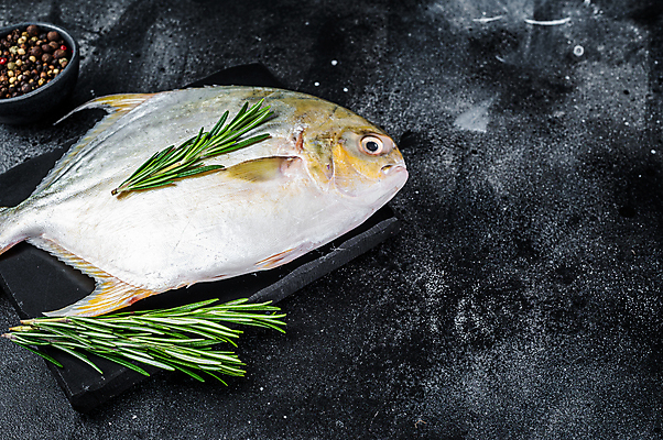 포토 JPG 해외이미지 음식 바다 백그라운드 탁자 어류 요리 사람없음 목재 노란색 검은색 어둠 추위 흰색 신선 황금 은색 해산물 준비 눈금 날것 소금 지느러미 후추 대서양 내추럴 생식 영양분 카피스페이스 해외포토 나무 컬러 가구 재료 수중동물 공백 향신료 파일형식 이미지허브