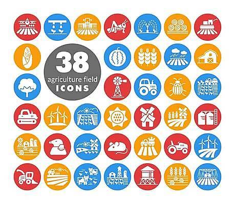EPS 해외이미지 밭 농업 일러스트 비행기 풍경 물 농장 흙 흐름 수확 면 붓기 해충 건초더미 농부 결합 낟알 밀 먼지떨이 트랙터 메뚜기 외양간 물뿌리기 밭일 상형문자 세련 해외일러스트 자연요소 직업 문자 산업 곤충 컨셉 항공교통 모션 대중교통 곡류 벌레 건초 농기계 청소도구 특수차량 파일형식 벡터 더미 이미지허브