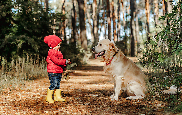 포토 JPG 해외이미지 주간 전신 한마리 여자 반려견 어린이 휴식 함께함 한명 서기 야외 옆모습 아웃포커스 친구 반려동물 마주보기 우정 산책 골든리트리버 강아지 숲속 숲길 소녀한명만 해외포토 자연요소 동물 1 길 뷰포인트 컨셉 관계 모션 촬영기법 사람 개 리트리버 숲 여자한명만 소녀만 파일형식 이미지허브