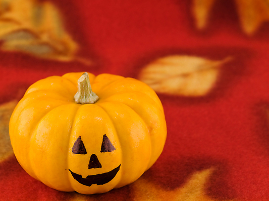 포토 JPG 해외이미지 식물 계절 얼굴 음식 줄기 조각 백그라운드 잎 농업 채소 오렌지 호박 휴가 건강 사람없음 장식 빨간색 축제 어둠 할로윈 수확 등불 직물 향신료 추수감사절 O 잭 스쿼시 고립 미니 잭오랜턴 맛있는 해외포토 알파벳 산업 기독교 스포츠 컬러 과일 조명 신체부위 구기 향미료 파일형식 이미지허브