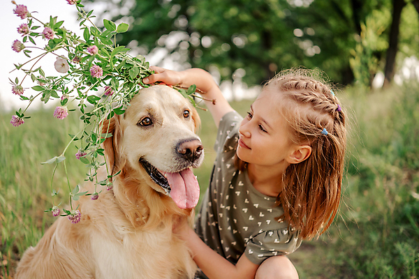 포토 JPG 해외이미지 주간 한마리 응시 여자 꽃 행복 반려견 어린이 휴식 함께함 한명 들기 상반신 야외 옆모습 아웃포커스 친구 반려동물 골든리트리버 소녀한명만 해외포토 자연요소 식물 동물 1 시선 감정 뷰포인트 컨셉 관계 모션 촬영기법 사람 개 리트리버 여자한명만 소녀만 파일형식 이미지허브