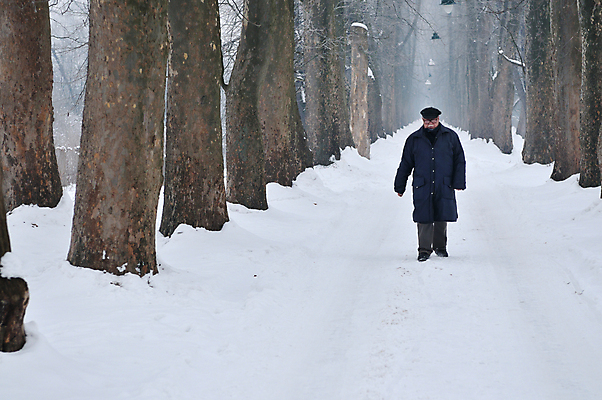 포토 JPG 해외이미지 주간 전신 나무 노년 남자 겨울 한명 야외 앞모습 걷기 산책 눈 나무길 노인남자한명만 겨울풍경 눈덮임 해외포토 자연요소 식물 1 계절 길 뷰포인트 컨셉 모션 날씨 휴식 사람 풍경 성인 남자한명만 노인남자만 파일형식 이미지허브