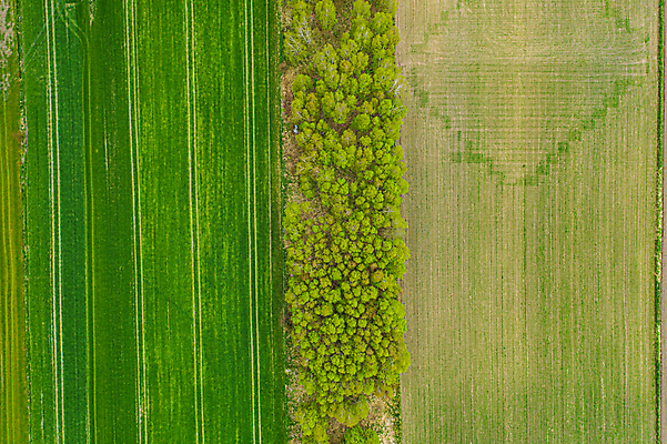 포토 JPG 해외이미지 나무 식물 음식 밭 농업 채소 자연 안테나 사람없음 야외 가로 초록색 물 농작물 농장 농경지 봄 수확 시골 헬리콥터 땅 트랙터 드론 리투아니아 밭일 줄서기 평야 수평선 해외포토 자연요소 계절 유럽 산업 컬러 통신 모션 비행기 농기계 생태계 특수차량 파일형식 이미지허브