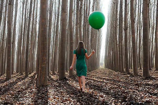 포토 JPG 해외이미지 전신 나무 여자 한명 서기 들기 성인 야외 뒷모습 숲 가득함 풍선 성인여자한명만 해외포토 식물 1 뷰포인트 모션 사람 여자한명만 성인여자만 파일형식 이미지허브