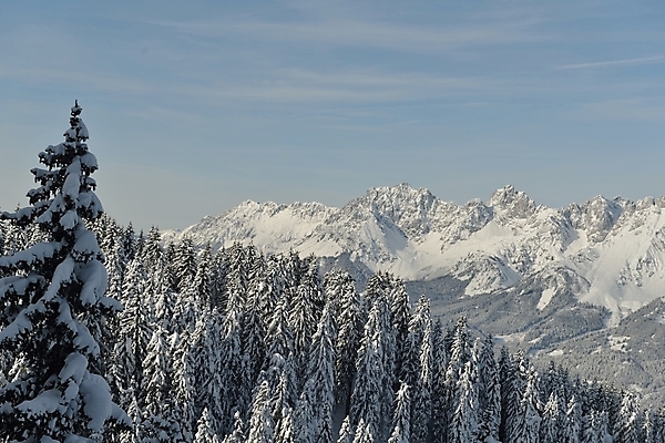 포토 JPG 해외이미지 주간 나무 겨울 하늘 사람없음 야외 눈 겨울풍경 설산 눈덮임 해외포토 자연요소 식물 계절 컨셉 날씨 산 풍경 파일형식 이미지허브