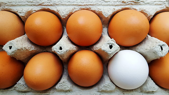 포토 JPG 해외이미지 실내 사람없음 하이앵글 계란 계란판 해외포토 뷰포인트 내부 알 파일형식 이미지허브