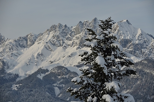포토 JPG 해외이미지 주간 나무 겨울 사람없음 야외 눈 겨울풍경 설산 눈덮임 해외포토 자연요소 식물 계절 컨셉 날씨 산 풍경 파일형식 이미지허브
