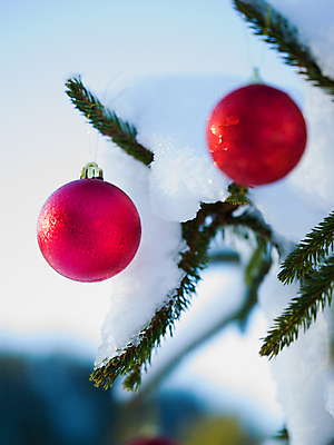 포토 JPG 해외이미지 주간 크리스마스장식 겨울 매달리기 사람없음 야외 아웃포커스 눈 걸림 오너먼트 해외포토 자연요소 계절 크리스마스 모션 날씨 촬영기법 파일형식 이미지허브