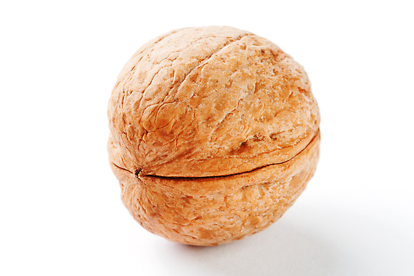 포토 JPG 해외이미지 사람없음 한개 견과류 호두 해외포토 1 파일형식 이미지허브