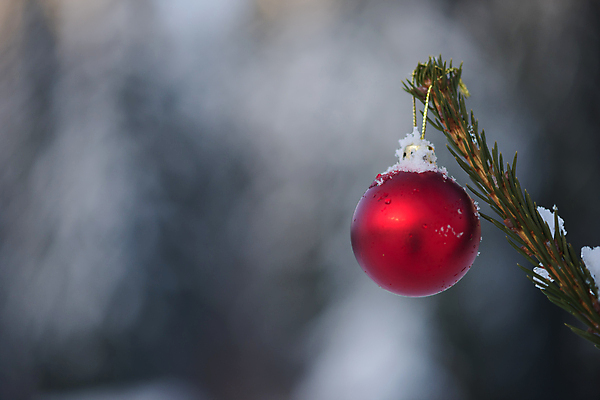 포토 JPG 해외이미지 주간 크리스마스장식 겨울 매달리기 사람없음 야외 아웃포커스 눈 걸림 오너먼트 해외포토 자연요소 계절 크리스마스 모션 날씨 촬영기법 파일형식 이미지허브