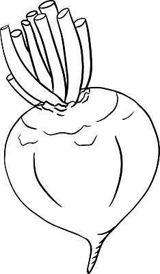 EPS 해외이미지 접시 음식 조각 백그라운드 다이어트 채소 과일 일러스트 재료 건강 미술 빨간색 농장 정원 보라색 식사 저녁식사 수확 흰색 신선 시장 맛 자르기 먹기 유기농 슬라이스 뿌리 점심식사 고립 비트 디톡스 개조 비건 맛있는 해외일러스트 식기 웰빙 컬러 컨셉 농업 모션 문화예술 채식주의자 파일형식 벡터 이미지허브