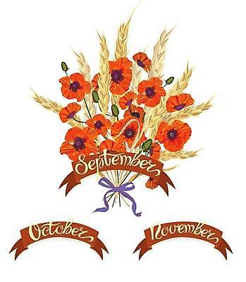 EPS 해외이미지 꽃 리본 꽃다발 일러스트 사람없음 라벨 밀 그림 손그림 양귀비 해외일러스트 식물 곡류 프레임 파일형식 벡터 이미지허브