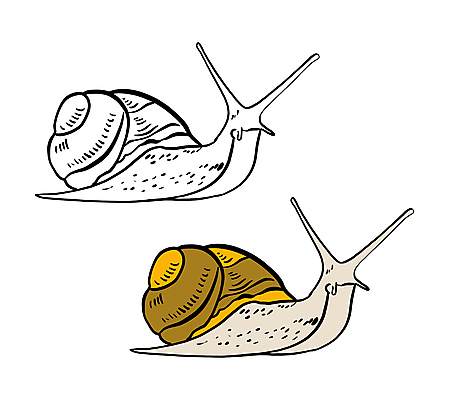 포토 JPG 해외이미지 동물 캐릭터 손 교육 야생동물 선 곤충 일러스트 학교 자연 흑백 사람없음 그래픽 책 컬러풀 운동 연필 농장 갈색 검은색 껍질 흰색 그리기 낙서 인쇄 만화 스케치 심볼 그림 윤곽 페이지 고립 색칠공부 해외포토 컬러 농업 모션 학용품 촬영기법 건강 미술 신체부위 학습 필기구 색칠 생태계 파일형식 이미지허브