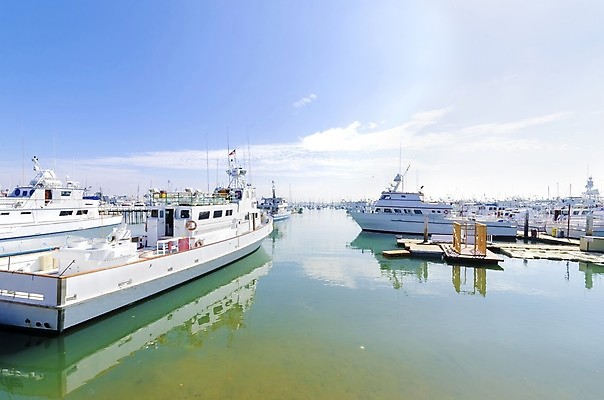 포토 JPG 해외이미지 스포츠 바다 섬 여행 요트 교통시설 갈매기 낚시 휴가 항해 사람없음 목재 물 마을 항구 미국 산책로 도시 만 보트 황무지 고급 도심 모래언덕 언덕 클럽 함선 해군 캘리포니아 태평양 포트 포인트 대도시 스카이라인 이웃 서쪽 해외포토 자연요소 나무 길 교통 컨셉 북아메리카 배_교통 재료 조류 레저 군대 금융 방향 시설 파일형식 이미지허브