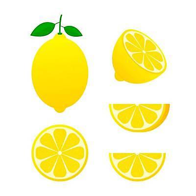 EPS 해외이미지 잎 일러스트 단면 사람없음 세트 노란색 레몬 해외일러스트 식물 컬러 과일 파일형식 벡터 이미지허브