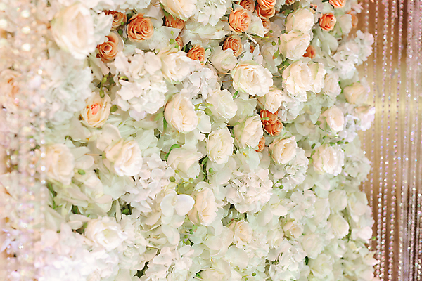 포토 JPG 해외이미지 디자인 꽃 결혼 결혼식 이벤트 사람없음 장식 장미 축하 해외포토 식물 컨셉 파일형식 이미지허브