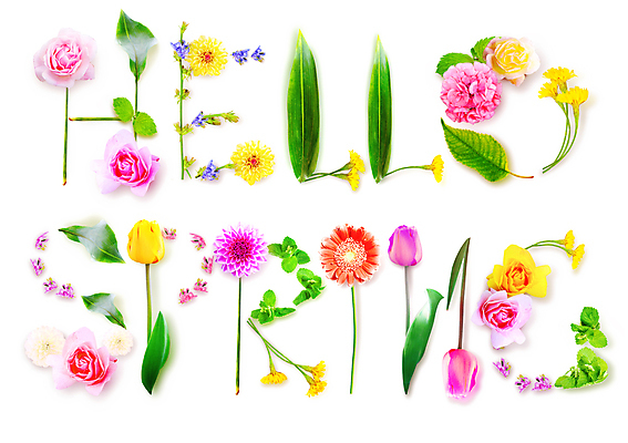 포토 JPG 해외이미지 식물 계절 공원 꽃 꽃다발 백그라운드 잎 꽃무늬 텍스트 자연 엄마 휴가 프레임 창조 사람없음 장식 초록색 단어 환경 정원 봄 성장 벚꽃 시골 축하 인사 신선 개화 4월 편지 허브 유기농 원예 데이지 내추럴 구성 생태학 해외포토 문자 웰빙 공공시설 교육 컬러 컨셉 무늬 가족 취미 예절 날짜 생태계 파일형식 이미지허브