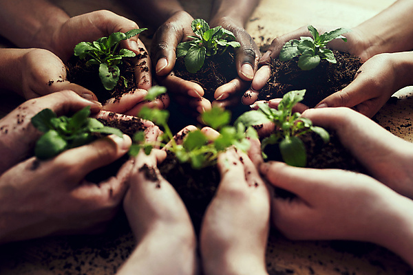 포토 JPG 해외이미지 손 들기 근접촬영 신체부위 새싹 자연보호 희망 흙 성장 손모으기 해외포토 식물 감정 뷰포인트 모션 자연 사람 손짓 보호 파일형식 이미지허브