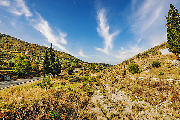 포토 JPG 해외이미지 나무 식물 공원 꽃 여행 백그라운드 잎 자연 하늘 주택 사람없음 야외 목재 가로 초록색 빛 햇빛 태양 환경 맑음 봄 광선 시골 숲 그리스 장면 내추럴 해외포토 자연요소 계절 공공시설 유럽 컬러 재료 날씨 건물 생태계 파일형식 이미지허브