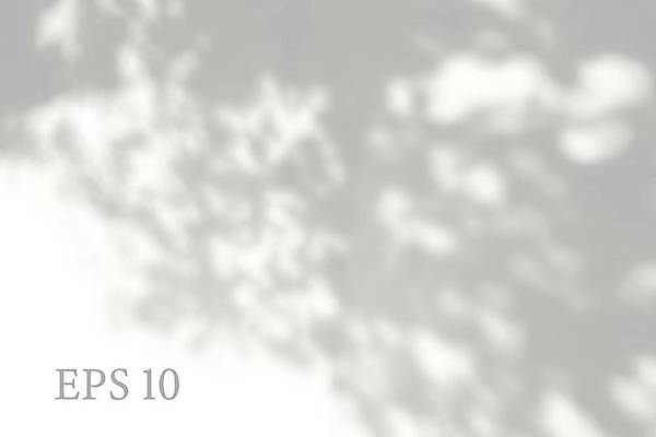 EPS 해외이미지 백그라운드 잎 일러스트 그림자 사람없음 그늘 블러 블러효과 해외일러스트 식물 파일형식 벡터 효과 이미지허브