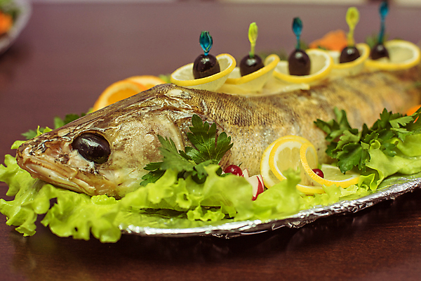 포토 JPG 해외이미지 실내 사람없음 생선요리 생선구이 나무배경 해외포토 음식 백그라운드 어류 내부 구이 파일형식 이미지허브