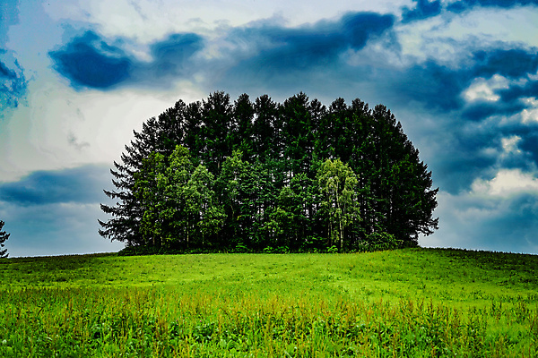 포토 JPG 해외이미지 도로 자연 사람없음 초록색 일본 언덕 홋카이도 해외포토 아시아 길 컬러 교통시설 생태계 파일형식 이미지허브