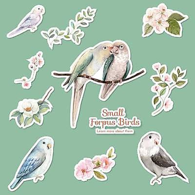 EPS 해외이미지 꽃 스티커 잎 여러마리 일러스트 조류 앉기 사람없음 나뭇가지 쌍 앵무새 손그림 엘리먼트 해외일러스트 나무 식물 동물 다수 모션 파일형식 벡터 이미지허브