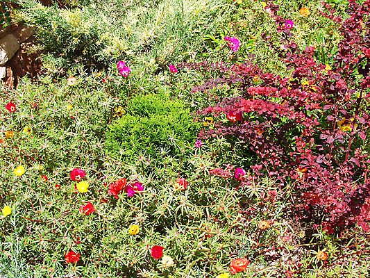 포토 JPG 해외이미지 나무 식물 디자인 공원 꽃 벽 백그라운드 잎 오렌지 자연 풍경 잔디 사람없음 야외 장식 가로 빨간색 초록색 여름 뷰티 우주 정원 보라색 침묵 봄 활발 벚꽃 바위 숲 땅 원예 장면 지역 멀티 해외포토 계절 공공시설 컬러 컨셉 과일 취미 소리 돌_바위 생태계 파일형식 이미지허브