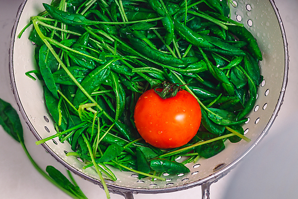 포토 JPG 해외이미지 손 여자 음식 백그라운드 다이어트 재료 방울토마토 탁자 오이 치즈 식이요법 요리 사람없음 빨간색 파란색 컬러풀 노란색 주방 요식업 식당 요리사 저녁식사 봄 신선 사발 닫기 맛 혼합 먹기 유기농 브런치 점심식사 핸드메이드 비건 맛있는 페타치즈 해외포토 직업 웰빙 계절 산업 컬러 가구 컨셉 토마토 채소 모션 유제품 건강 사람 신체부위 상점 식사 사기그릇 채식주의자 파일형식 이미지허브