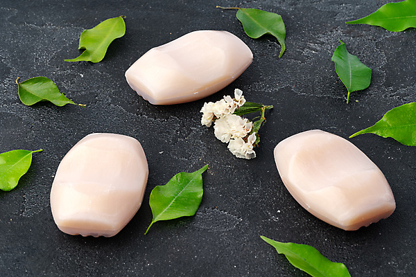 포토 JPG 해외이미지 꽃 잎 회색배경 실내 사람없음 뷰티 오브젝트 비누 해외포토 식물 백그라운드 내부 위생용품 회색 파일형식 이미지허브