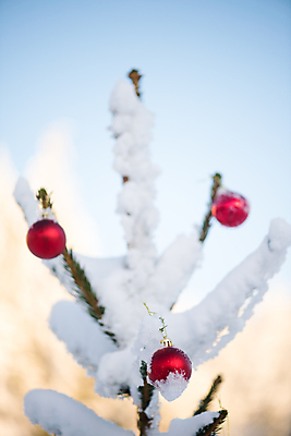 포토 JPG 해외이미지 주간 크리스마스 크리스마스용품 사람없음 야외 아웃포커스 눈 쌓인눈 오너먼트 눈덮임 해외포토 자연요소 기념일 컨셉 크리스마스장식 날씨 촬영기법 용품 파일형식 이미지허브