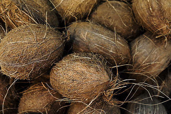 포토 JPG 해외이미지 모래 채소 벽지 표면 추상 프레임 건강 손바닥 씨앗 사람없음 농작물 쌓기 상점 회색 수확 껍질 흰색 직물 신선 거친 그룹 시장 농부 인도인 천 가득함 피부 질감 먼지 섬유 비타민 남쪽 그런지 이국적 채식주의자 콘크리트 많음 해외포토 외국인 식물 직업 손 컬러 컨셉 무늬 농업 모션 동양인 신체부위 방향 채식 영양소 파일형식 이미지허브