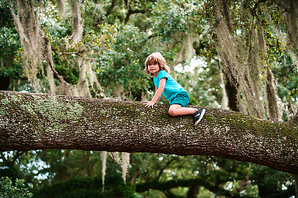 포토 JPG 해외이미지 나무 라이프스타일 공원 행복 어린이 자연 놀이 건강 한명 사람 앉기 소년 야외 여름 금발 마을 정원 맑음 유치원 하이킹 성장 나뭇가지 시골 시간 숲 큼 오르기 탐사 발견 개발 걸음마 해외포토 식물 1 헤어스타일 계절 공공시설 교육 남자 감정 모션 레저 날씨 생활 크기 생태계 파일형식 이미지허브