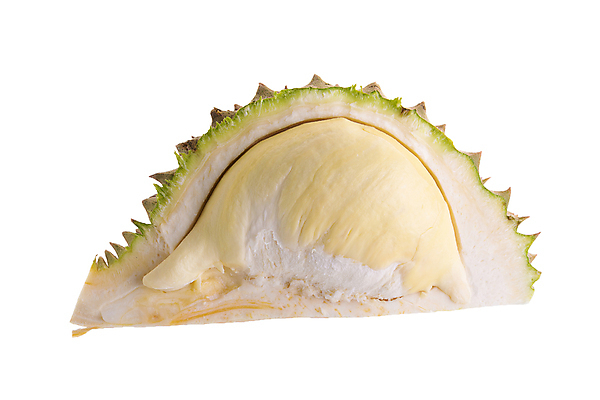 포토 JPG 해외이미지 계절 음식 백그라운드 과일 태국 산 건강 육류 동양인 사람없음 목재 고양이 흰색 나뭇가지 신선 달콤 정상 발사 왕 자르기 베트남 말레이시아 고립 숙성 해외포토 나무 아시아 컬러 식재료 재료 포유류 모션 인종 반려동물 동남아시아 맛 파일형식 이미지허브