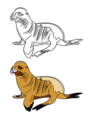 포토 JPG 해외이미지 동물 캐릭터 손 교육 야생동물 선 바다 오렌지 일러스트 학교 자연 흑백 사람없음 그래픽 책 컬러풀 연필 농장 갈색 검은색 고양이 흰색 그리기 낙서 인쇄 사자 물개 만화 스케치 심볼 그림 윤곽 페이지 고립 색칠공부 해외일러스트 컬러 농업 과일 포유류 모션 학용품 촬영기법 미술 신체부위 반려동물 학습 필기구 바다동물 색칠 생태계 파일형식 이미지허브
