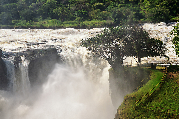 포토 JPG 해외이미지 식물 여행 아프리카 자연 파노라마 국립공원 풍경 사람없음 야외 물 관광지 강 환경 폭포 시골 황무지 생태계 내추럴 우간다 해외포토 자연요소 공원 나라 촬영기법 파일형식 이미지허브
