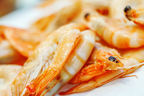 포토 JPG 해외이미지 접시 음식 바다 백그라운드 다이어트 재료 조개 새우 건강 갑각류 요리 사람없음 가로 상점 얼음 식사 저녁식사 추위 프랑스 신선 남아메리카 시장 닫기 선택 바닷가재 지중해 먹기 해산물 상업 날것 에콰도르 브라질 칠레 그리스인 찌그러짐 고립 앙트레 맛있는 해외포토 자연요소 서양인 동물 식기 유럽 컨셉 모션 어패류 아메리카 가재 파일형식 이미지허브