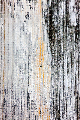 포토 JPG 해외이미지 디자인 선 벽 가구 백그라운드 패턴 자연 벽지 표면 추상 바닥 주택 미술 사람없음 내부 목재 장식 빛 갈색 방 수확 판넬 널 낟알 천 질감 복고 통나무 내추럴 수목 옛날 합판 파케트 해외포토 나무 컬러 생활용품 무늬 농업 재료 문화예술 건물 직물 생태계 파일형식 이미지허브