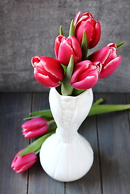 포토 JPG 해외이미지 식물 디자인 계절 기념일 꽃잎 꽃 화분 분홍색 꽃다발 결혼 백그라운드 잎 꽃무늬 자연 탁자 휴가 주택 발렌타인데이 선물 사랑 사람없음 목재 장식 초록색 컬러풀 뷰티 꽃병 축제 봄 낭만 튤립 수확 벚꽃 흰색 시골 축하 인사 신선 다발 심볼 내추럴 정물화 해외포토 나무 감정 컬러 가구 컨셉 무늬 농업 재료 데이이벤트 이벤트 건물 예절 그림 생태계 파일형식 이미지허브