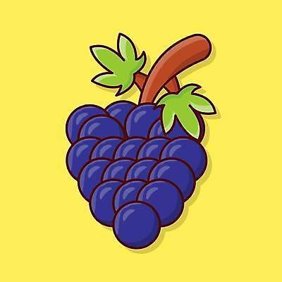 EPS 해외이미지 식물 디자인 열매 음식 잎 농업 과일 일러스트 자연 포도 디저트 건강 파란색 와인 신선 플랫 달콤 다발 심볼 오브젝트 싱글 유기농 포도밭 포도나무 비타민 내추럴 고립 해외일러스트 웰빙 산업 컬러 밭 주류 맛 과일나무 생태계 영양소 파일형식 벡터 나무 음료 컨셉 이미지허브