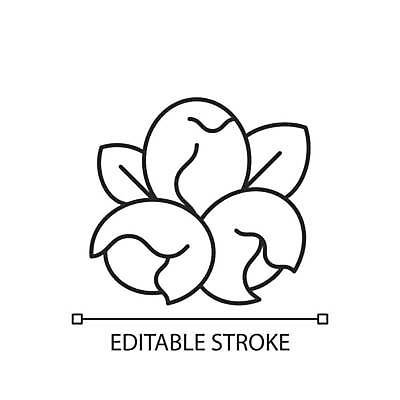 EPS 해외이미지 디자인 선 음식 컨셉 다이어트 채소 일러스트 재료 콩 건강 미술 씨앗 동양인 픽토그램 웹 어둠 견과류 플랫 맛 상품 낟알 굽기 먹기 심볼 사인 그림 유기농 심플 윤곽 내추럴 단백질 대두 얇은 영양분 채식주의자 비건 맛있는 해외일러스트 식물 웰빙 인터넷 모션 문화예술 곡류 인종 구이 채식 영양소 파일형식 벡터 이미지허브